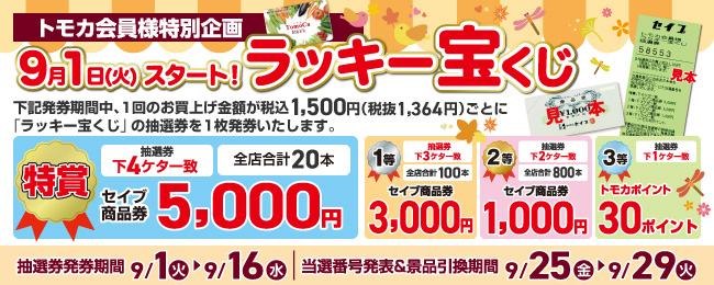 ラッキー宝くじ